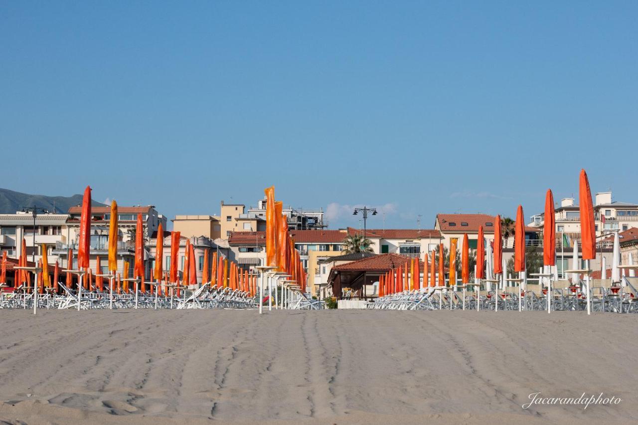 Pinetamare Viareggio